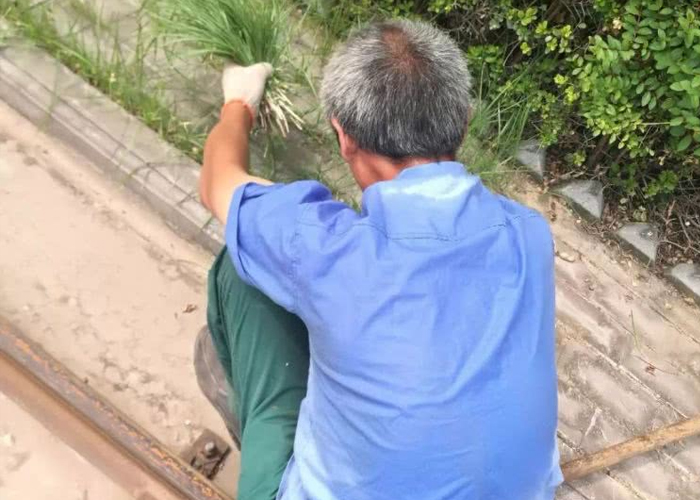 烈日下的擔(dān)當(dāng)、高溫下的堅(jiān)持