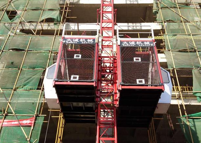 物競天擇，適者生存