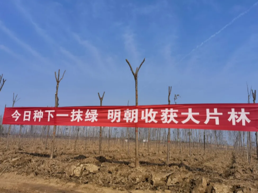 河南大誠機(jī)械 河南大誠機(jī)械