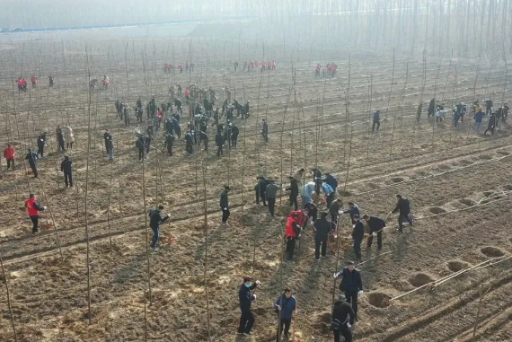 河南大誠機(jī)械 河南大誠機(jī)械